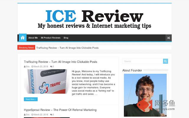 Ice Review插件截图