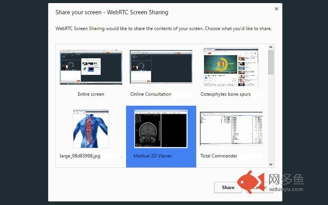 WebRTC Screen Sharing插件截图