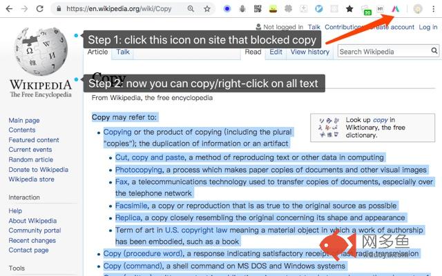 Simple Allow Copy插件截图