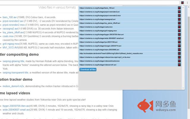 Video Downloader Professional