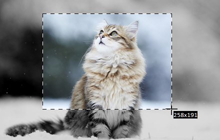 Floomby插件截图