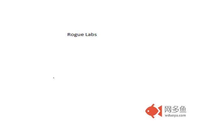 Rogue Labs Flash插件截图