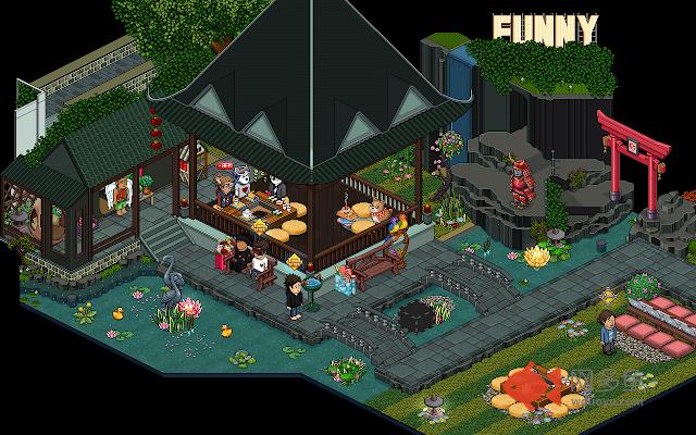 Funny-Hotel - Flash automatisch toestaan插件截图