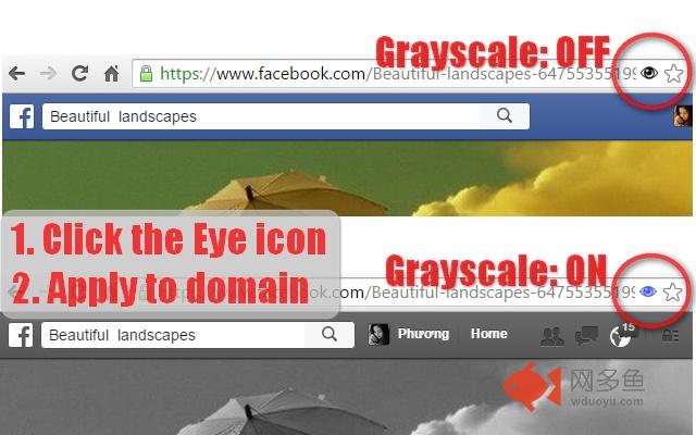 Grayscale Black & White - High Contrast Theme插件截图