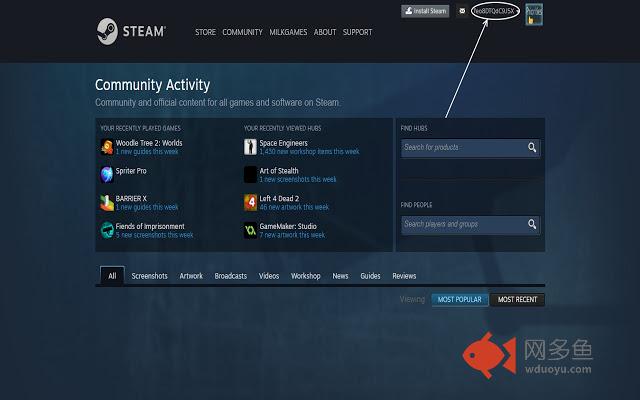 Steam Account Name Hider