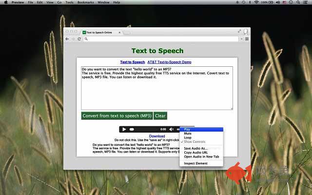 Text To Speech Reader