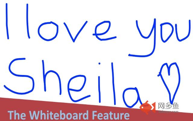 webshule Screenshare Extension插件截图