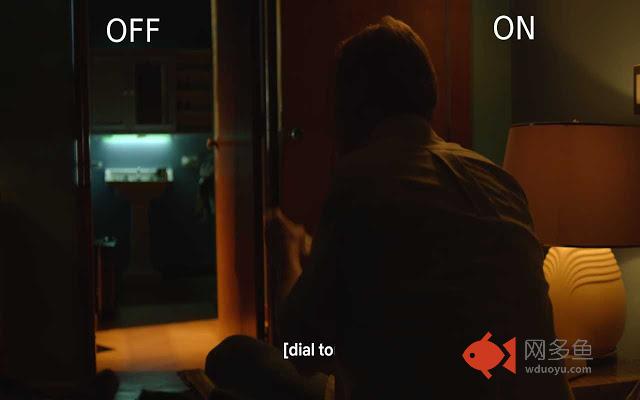 Netflix Subtitles Customizer插件截图