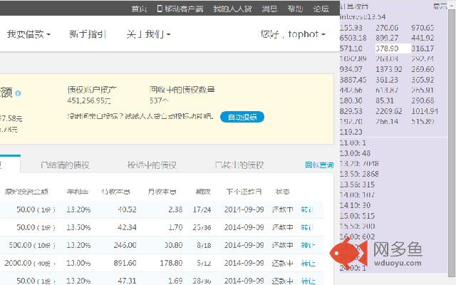人人贷散标统计插件截图