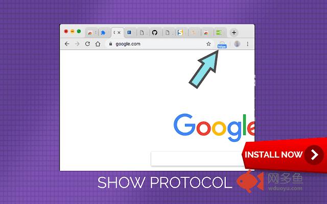 Show protocol of address