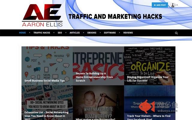 Aaron Ellis Traffic and Marketing Hacks