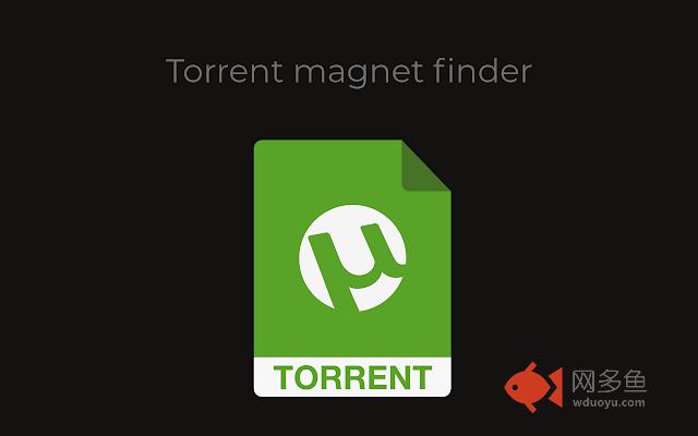Torrent magnet finder
