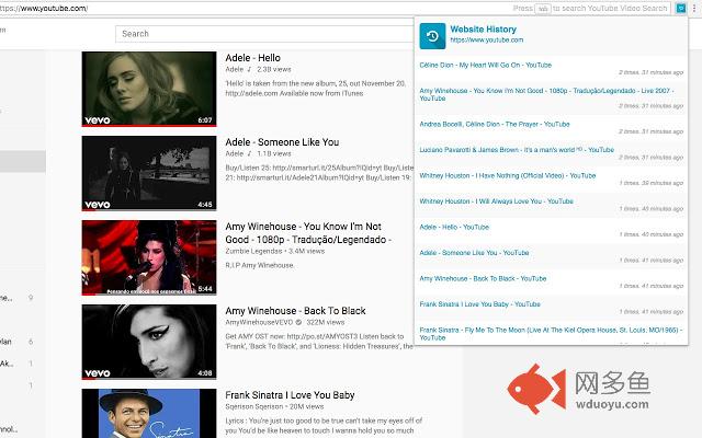Website History