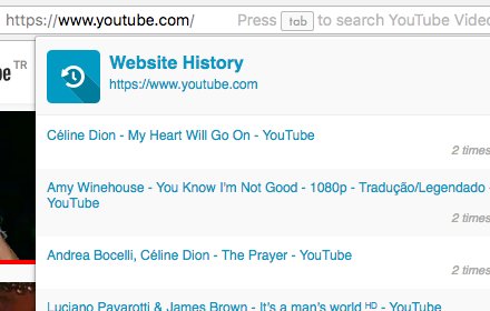 Website History插件截图