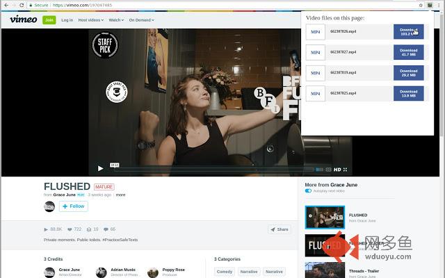 Save Video As