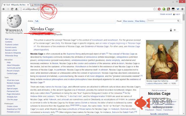 Nicolas Cage插件截图