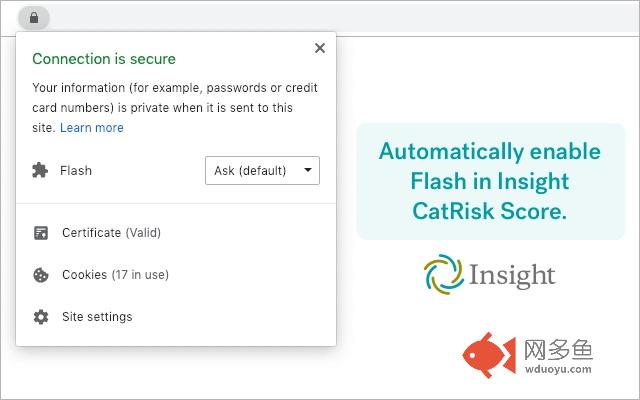 Insight Flash Enabler插件截图