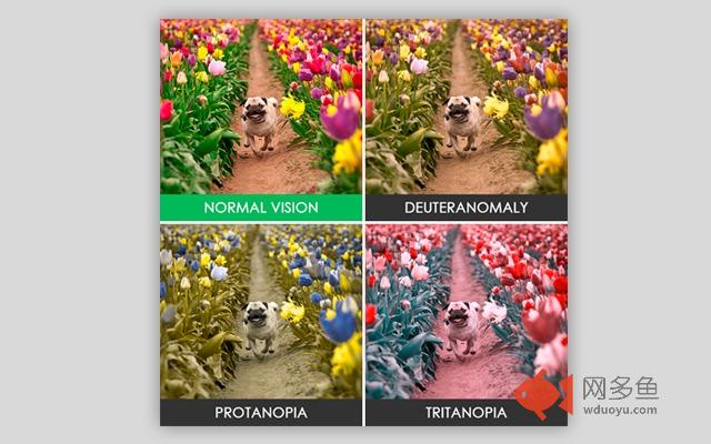 Vividfy - Vivencie as Cores插件截图