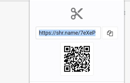 shr.name - URL Shortener Service插件截图