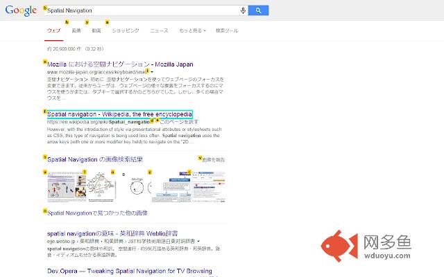 Spatial Navigation插件截图