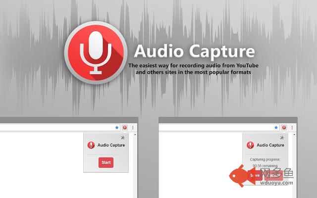 Audio Capture for Chrome™ (录音机)插件截图