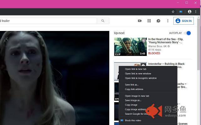 YouTube Video Blocker插件截图