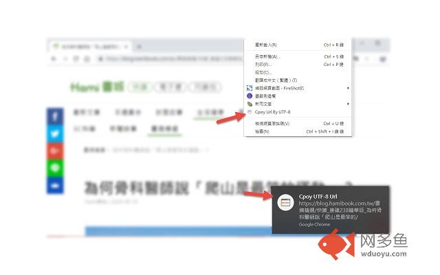 Cpoy UTF-8 Url插件截图