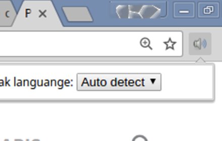 Speak Selected插件截图