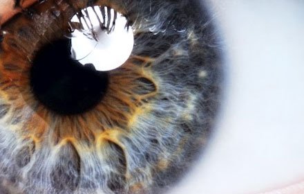 Eyelashes插件截图