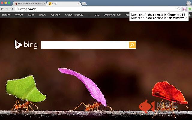 Chrome tab counter插件截图
