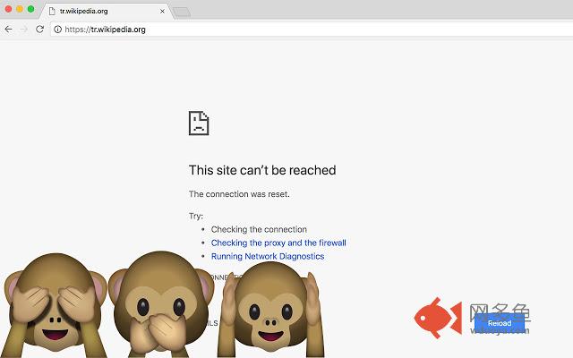 Saving Private Vikipedi插件截图