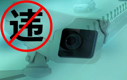 违章查询插件截图