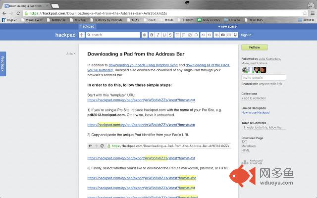 Hackpad Downloader插件截图
