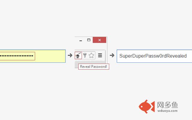 Password Revealer插件截图