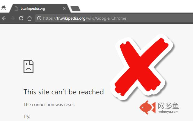 Bilgi Kapısı插件截图