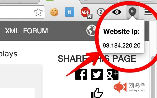 WebsiteIp finder插件截图
