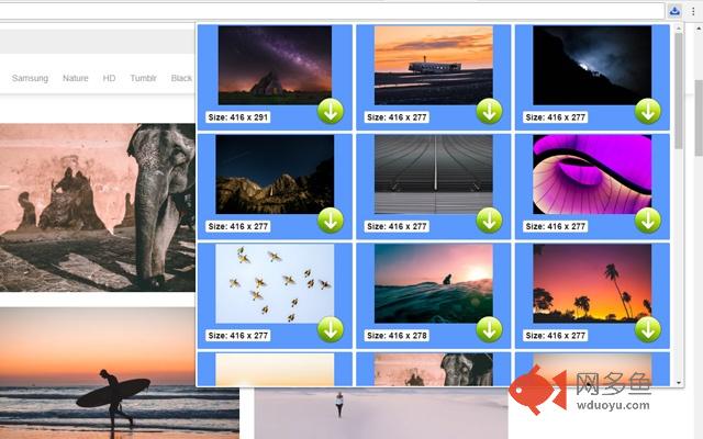 Picture Downloader