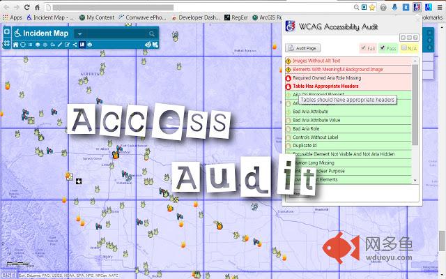 WCAG Accessibility Audit Developer UI