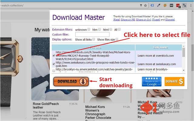 Download Master - Free Download Manager