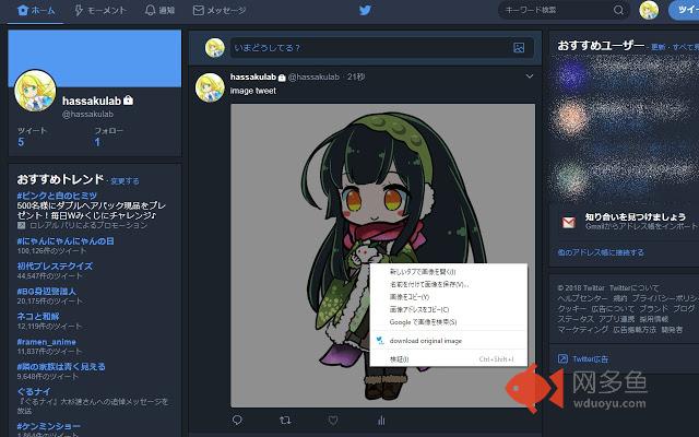 Twitter Image Downloader插件截图