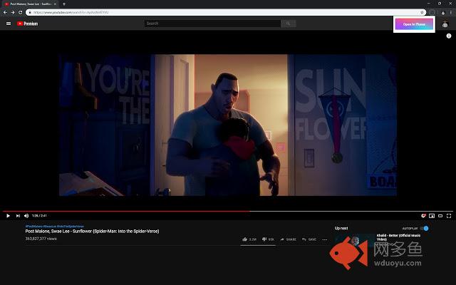 YouTube to iTunes插件截图