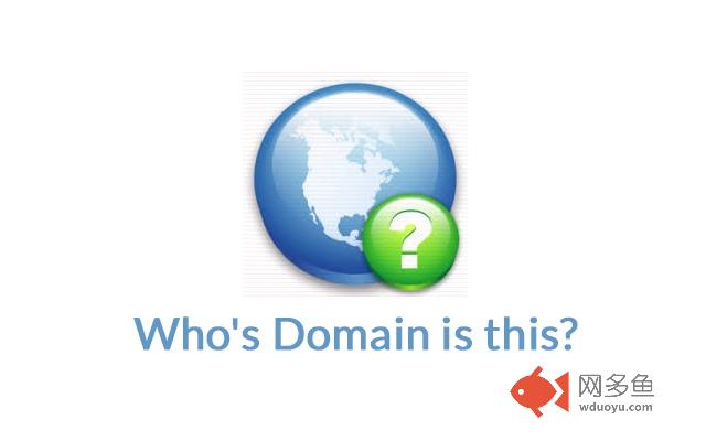Who's Domain is this?插件截图