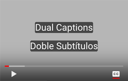 Two Captions for YouTube & Netflix插件截图