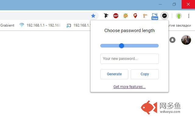 Random Password Generator插件截图
