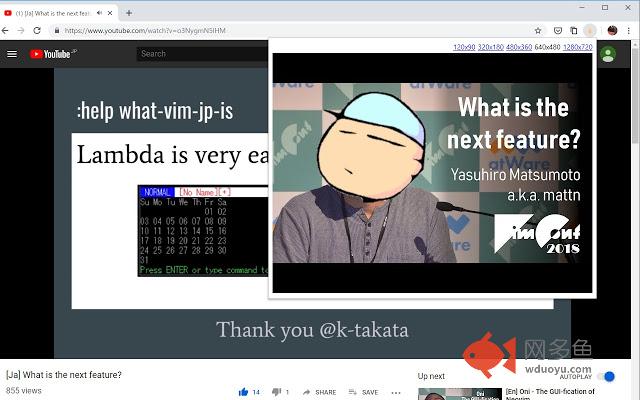 YouTube Thumbnails插件截图