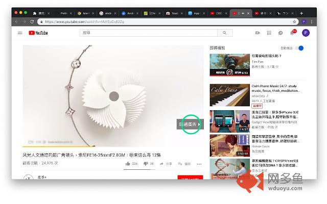 Youtube Ad Auto Skipper插件截图