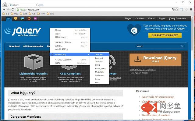 AddressCopy插件截图