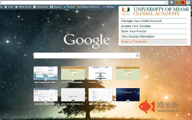 UMGA Student Companion插件截图
