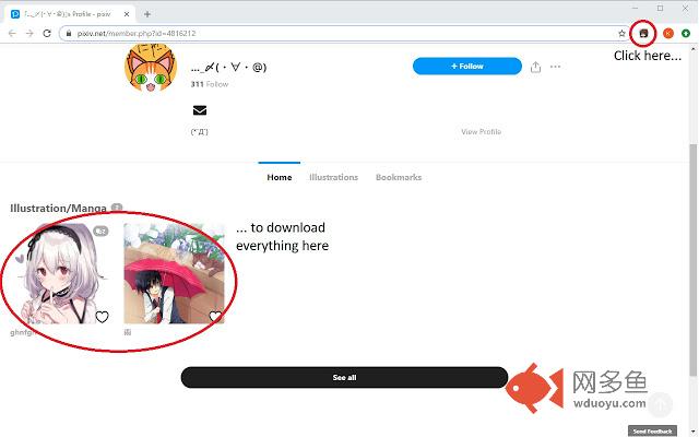 Pixiv Art Downloader插件截图