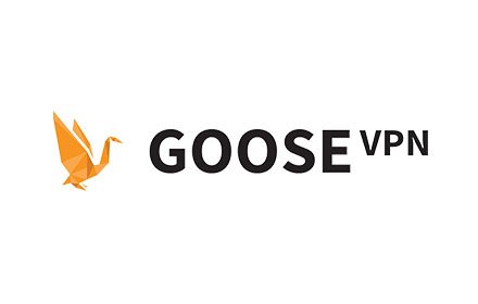 GOOSE VPN插件截图